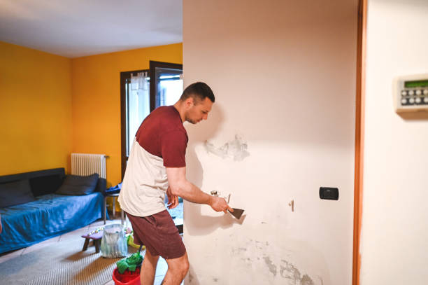 Office Mold Removal Services in Wayne, PA