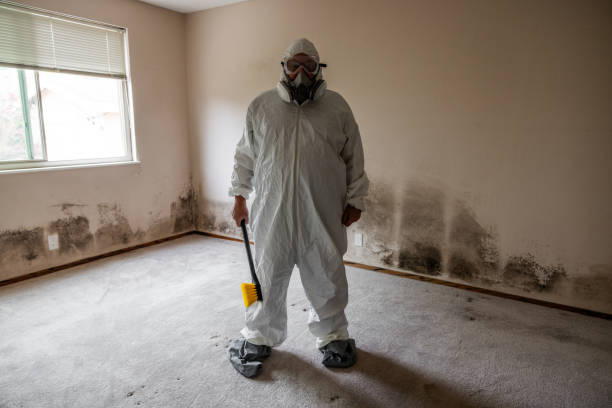 Best Certified Mold Removal  in Wayne, PA