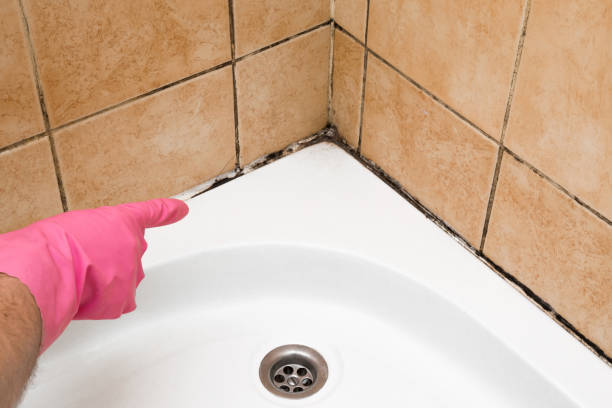 Best Crawl Space Mold Removal  in Wayne, PA